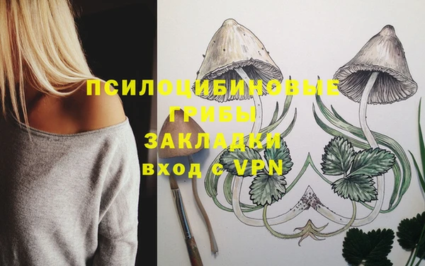 дмт Балахна