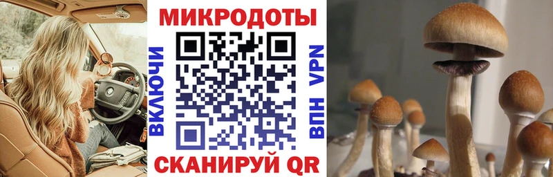 Псилоцибиновые грибы ЛСД  Купить где  Острогожск 